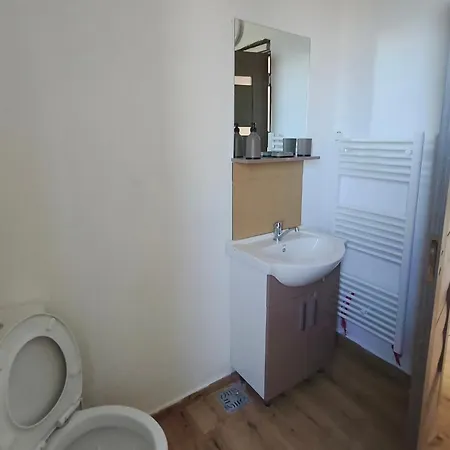 Voievozilor Grand Appartement *